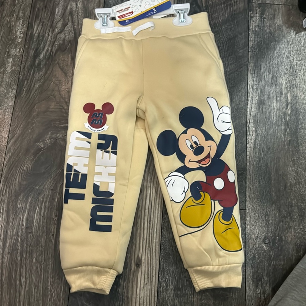 Fleece lined Disney pants